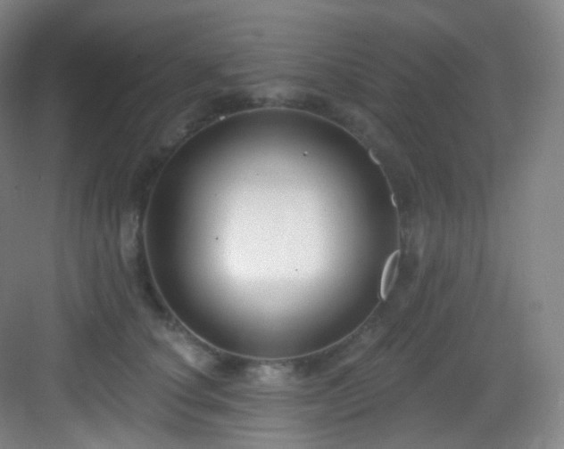 X0000083070660200702091532