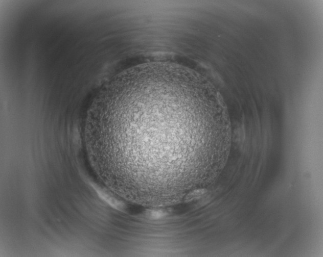 X0000083070662200702091532