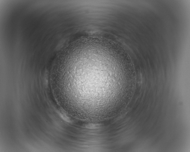 X0000083070664200702091532