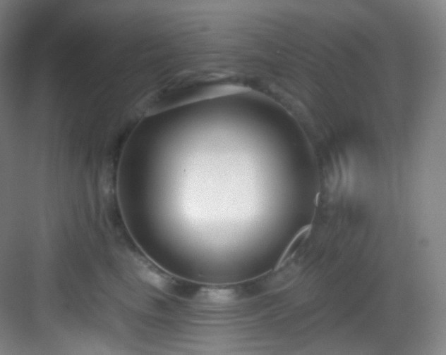 X0000083070665200702091532