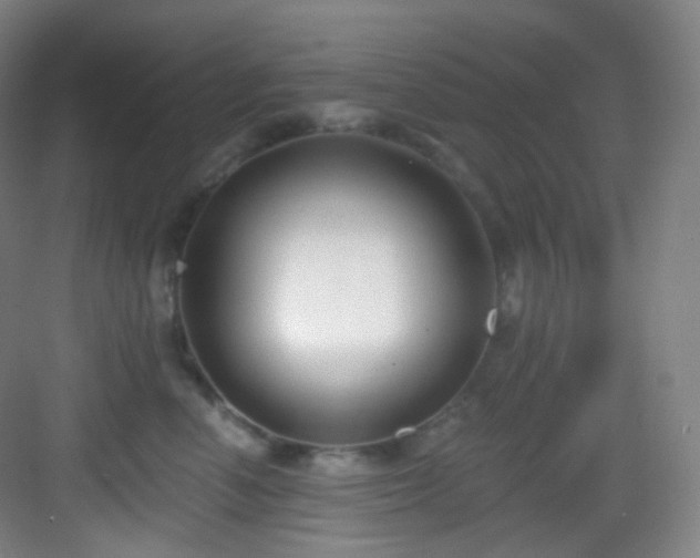 X0000083070666200702091532
