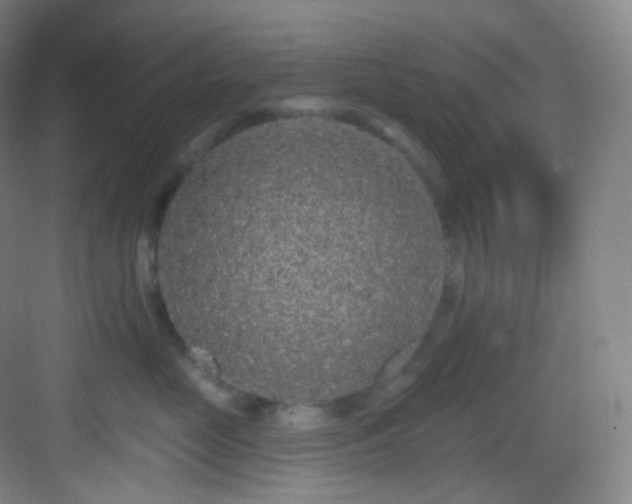 X0000083070669200702091532