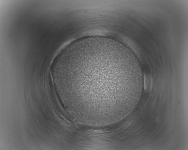 X0000083070675200702091531