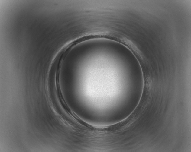 X0000083070676200702091531