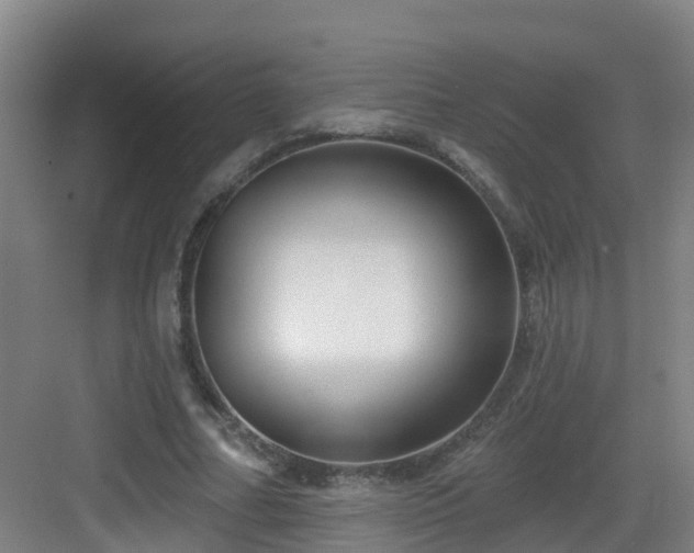 X0000083070682200702091531