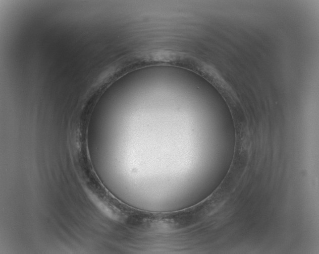 X0000083070683200702091531