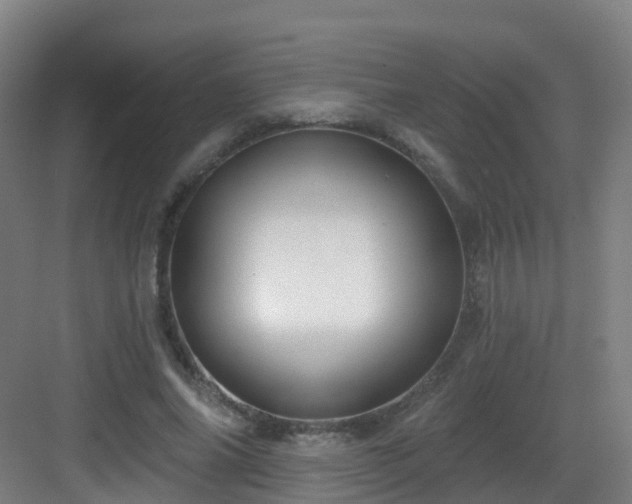 X0000083070686200702091531