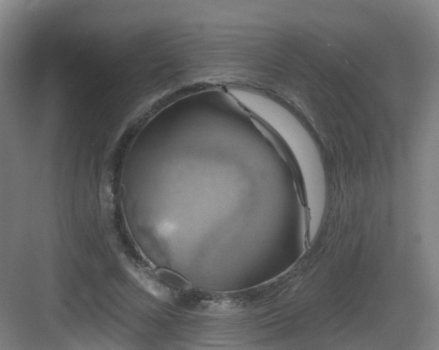 X0000083070688200702091531