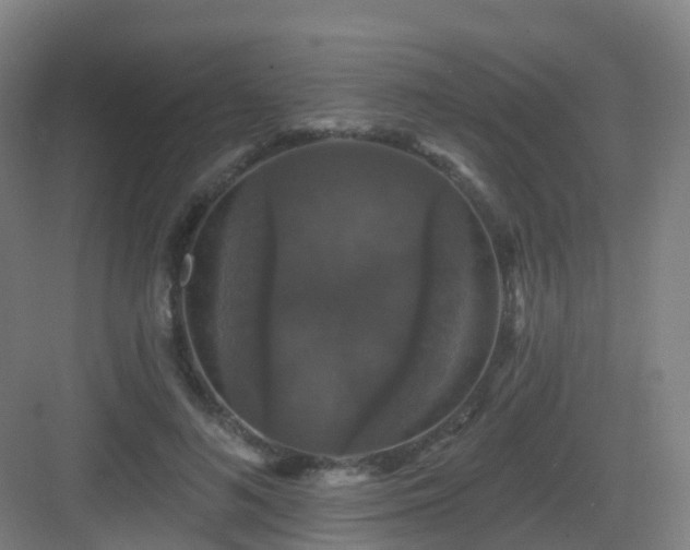 X0000083070692200702091531