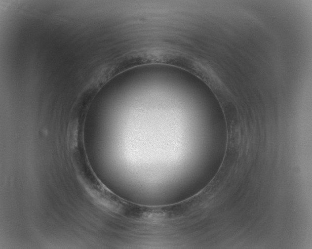 X0000083070694200702091531