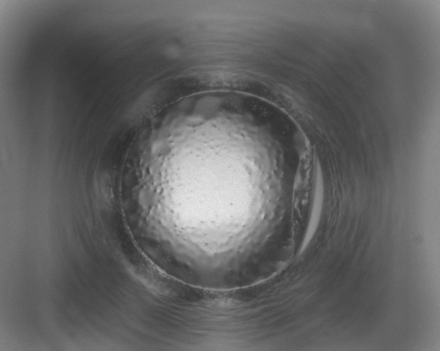 X0000083070695200702091531