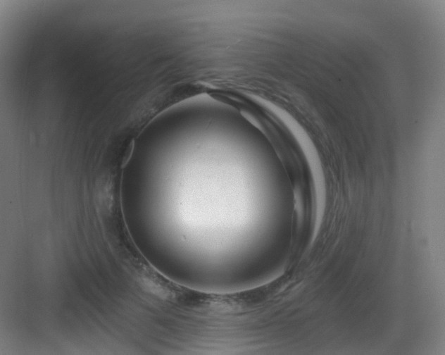 X0000083070697200702091531
