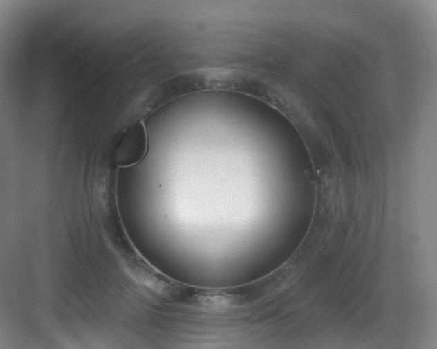 X0000083070698200702091531