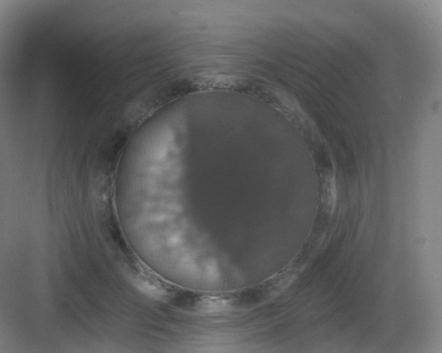 X0000083070701200702091530