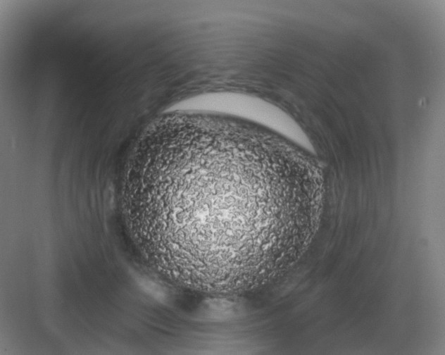 X0000083070703200702091530