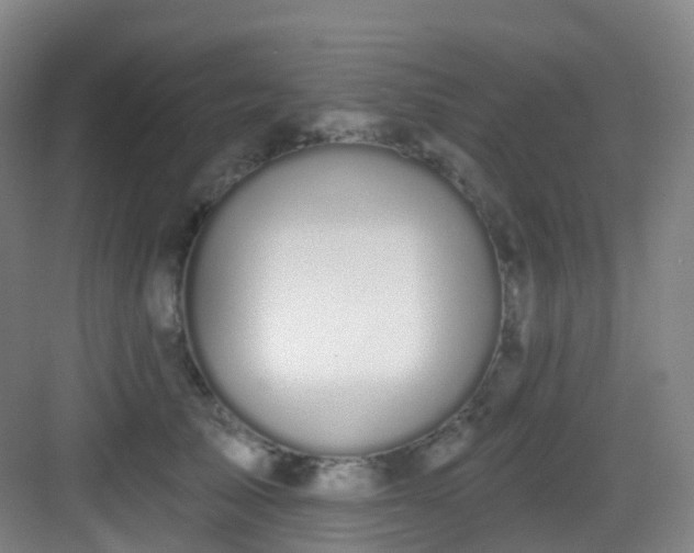 X0000083070705200702091530