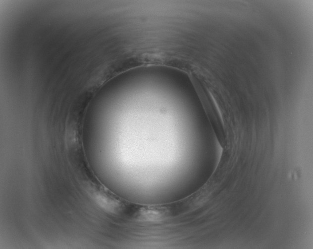 X0000083070706200702091530