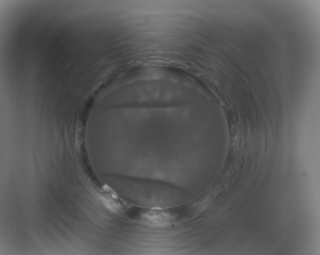 X0000083070712200702091530