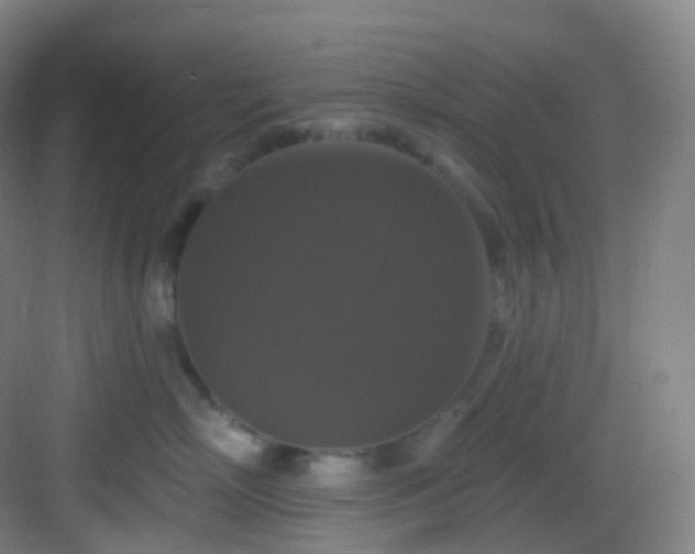 X0000083070718200702091530