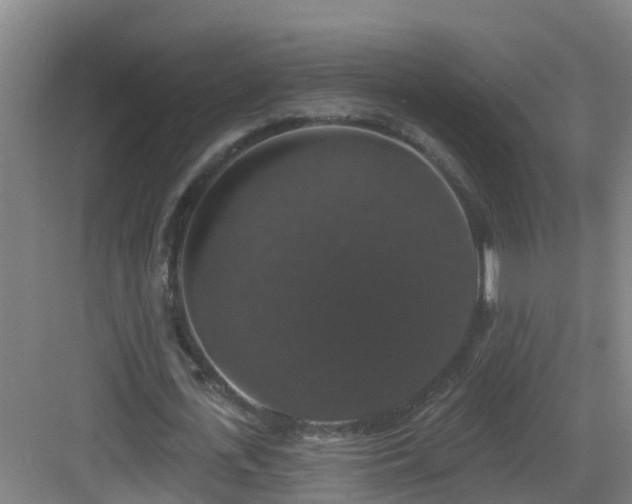 X0000083070723200702091529