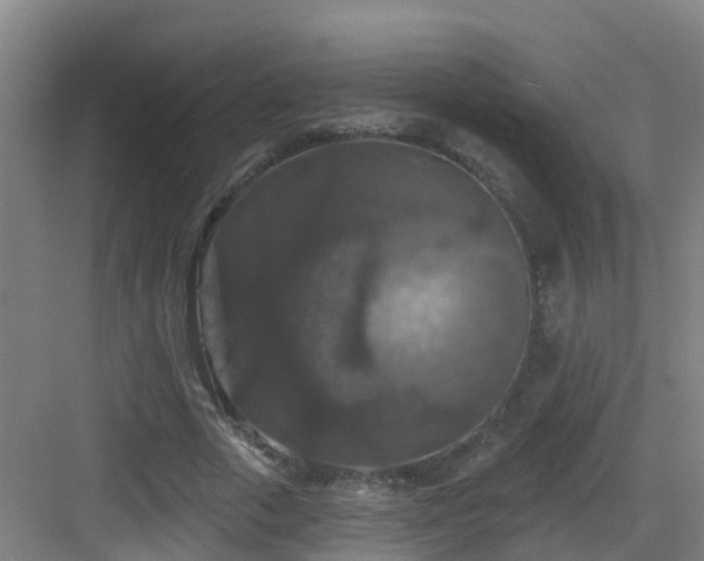 X0000083070729200702091529