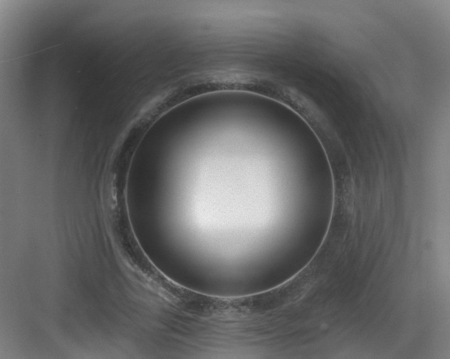 X0000083070731200702091530