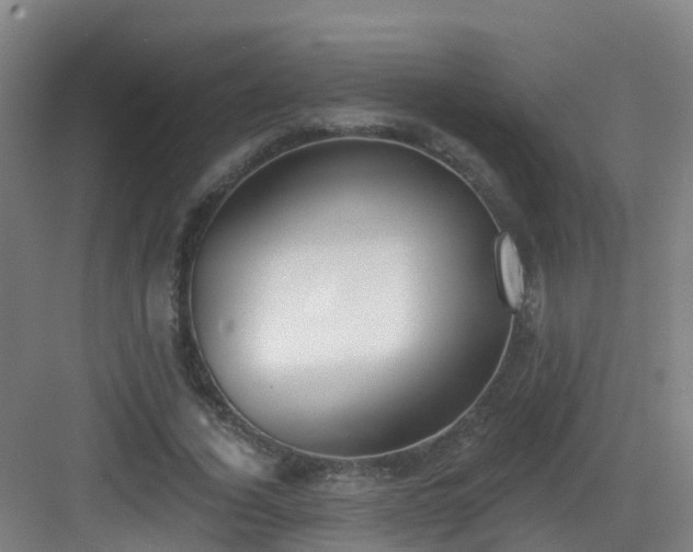 X0000083070732200702091530