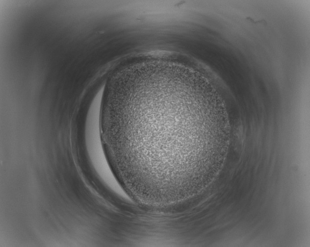 X0000083070734200702091530