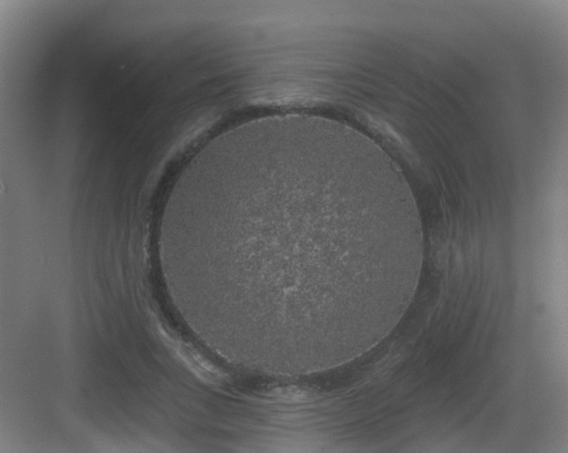 X0000083070735200702091530