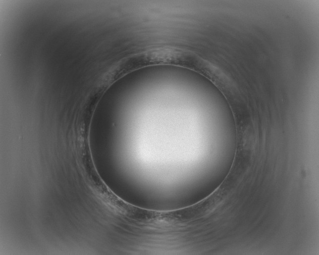 X0000083070737200702091530