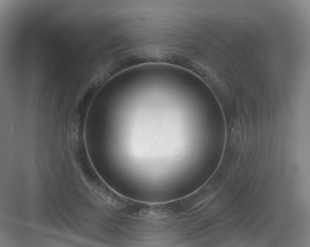 X0000083070739200702091530