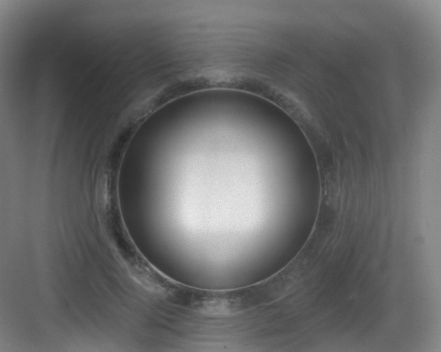 X0000083070740200702091530