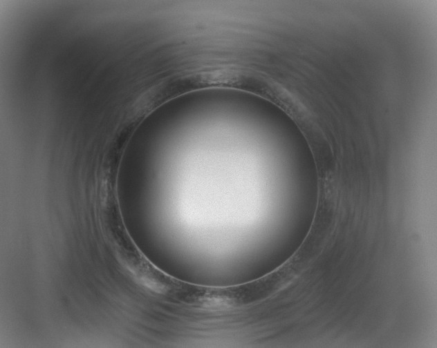 X0000083070741200702091530