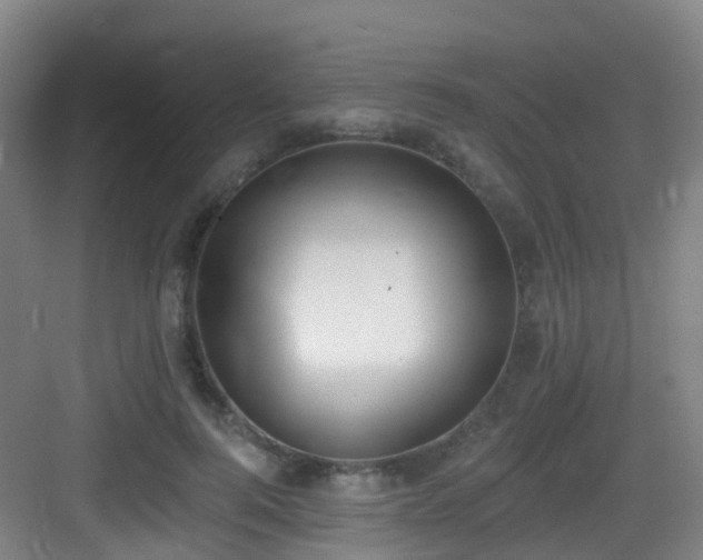 X0000083070744200702091530