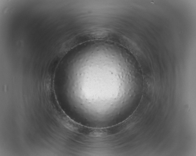X0000083070745200702091530