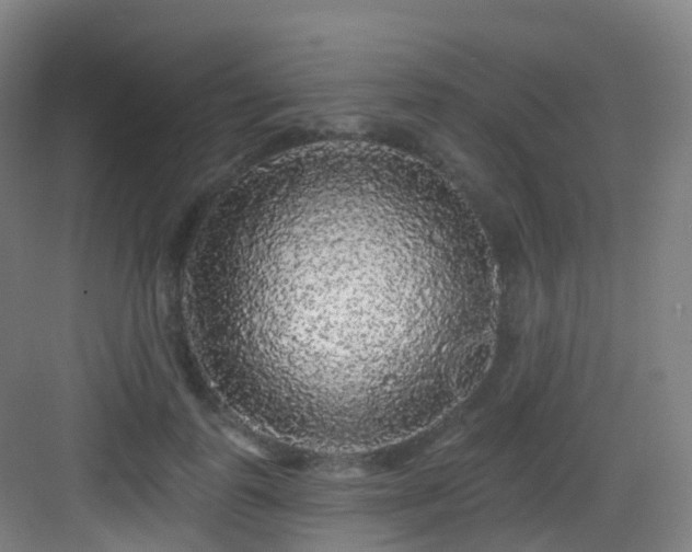 X0000083070747200702091530
