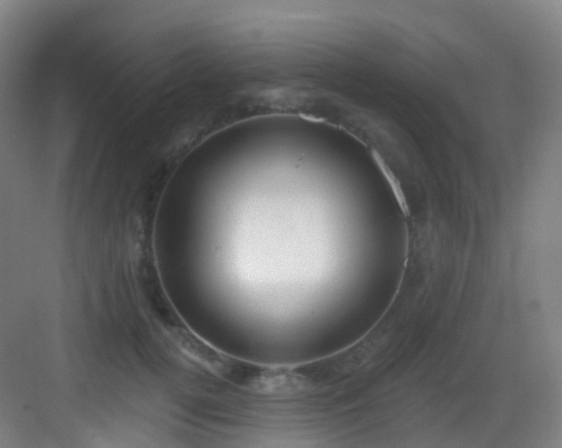X0000083070752200702091530
