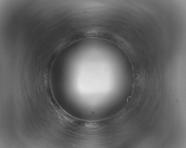 X0000083070753200702091530