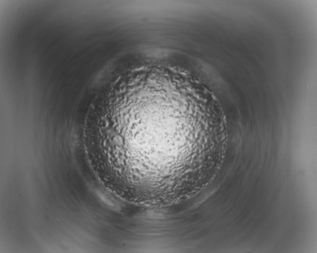 X0000083070758200702091530