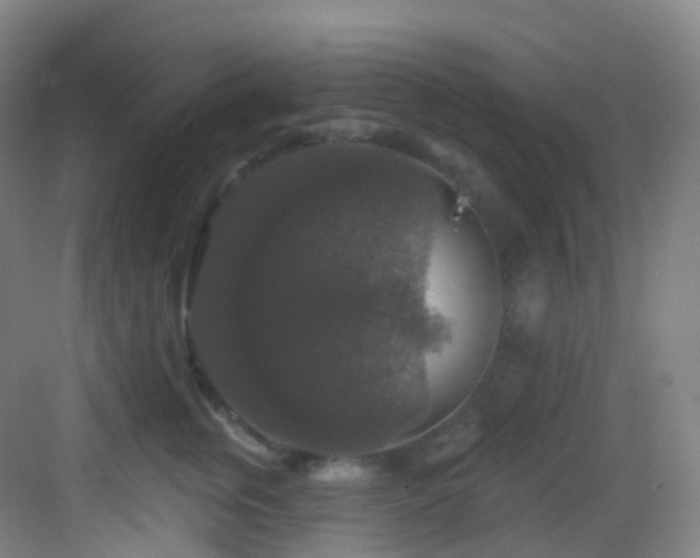 X0000083070759200702091530