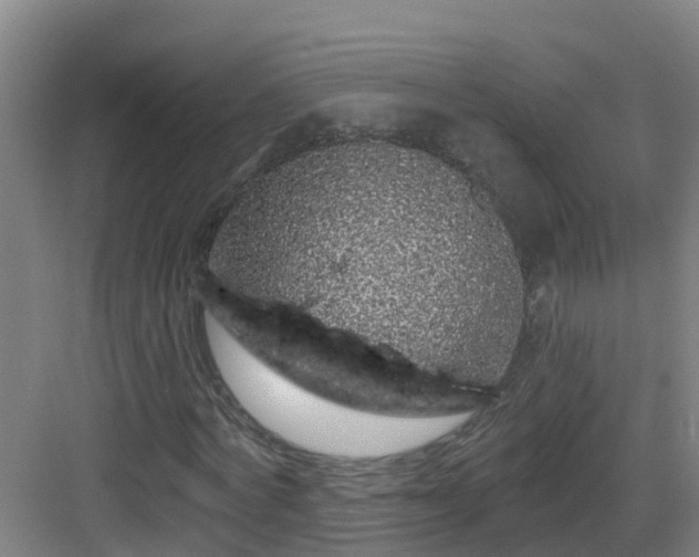 X0000083070772200702091529