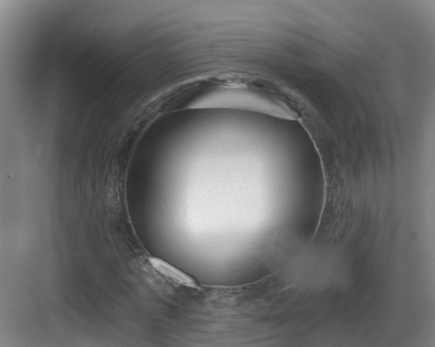 X0000083070773200702091529