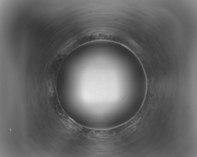 X0000083070774200702091529