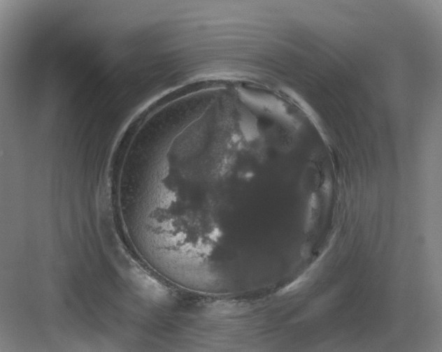 X0000083070779200702091529