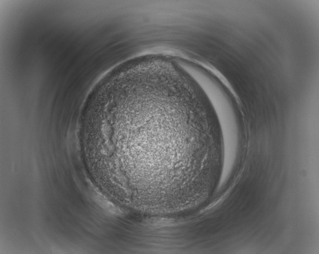 X0000083070783200702091529