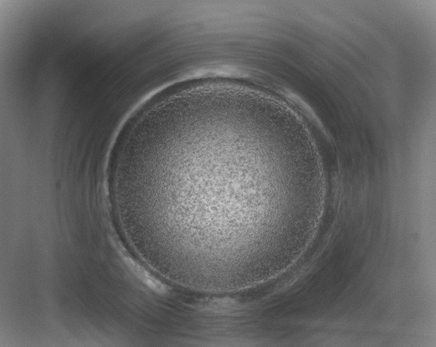 X0000083070784200702091529