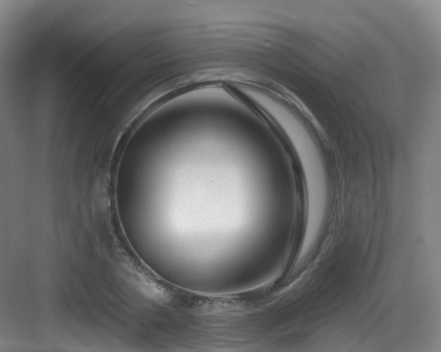 X0000083070786200702091529