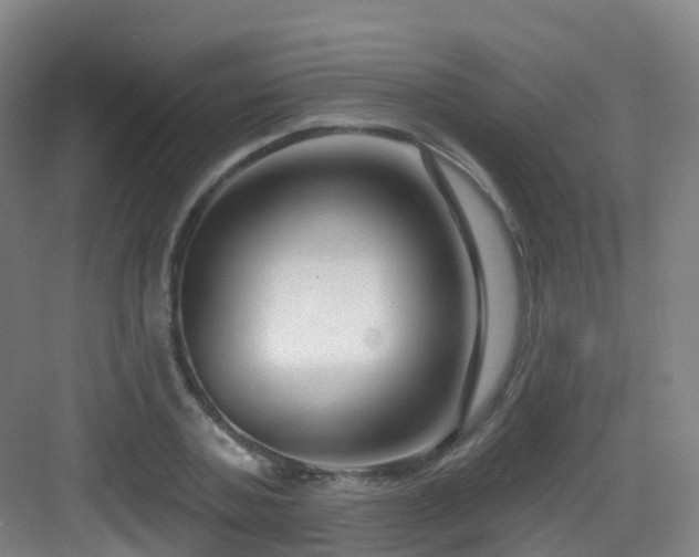 X0000083070787200702091529