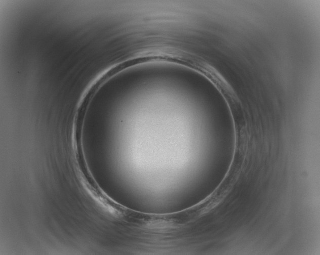 X0000083070788200702091529