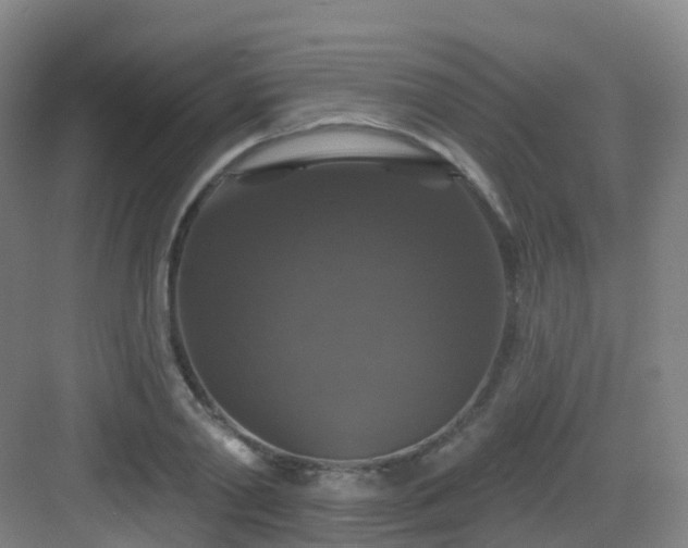 X0000083070790200702091529